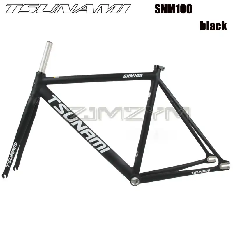 TSUNAMI SNM100 Chameleon 55CM　フレーム TSUNAMI SNM100 Bicycle Frame Single Speed Fixed Gear
