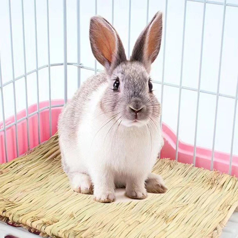 Tappetino Erba Per Conigli E Piccoli Animali | Con Giocattoli Da Masticare Naturali - Foto 3