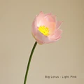 Big Lotus Light Pink