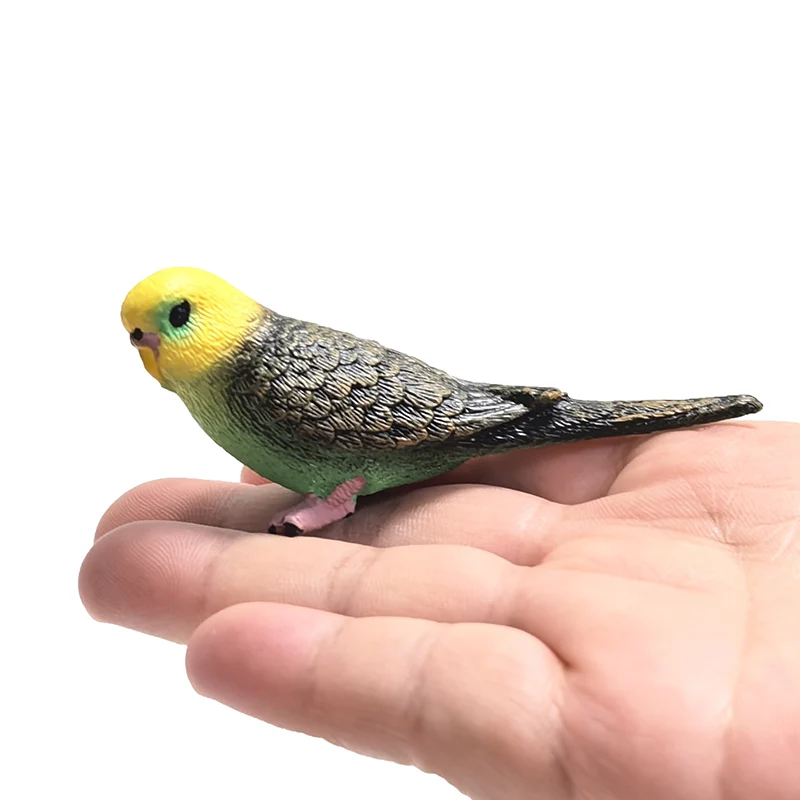 Mini süße simulierte Papagei Kinder Ornament Spielzeug Tier Modell PVC Kunststoff Handwerk Ornament Zoo künstliche Vogel Statue Hause – Detail 14