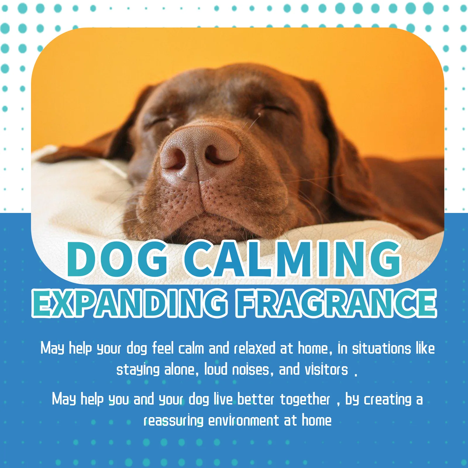 Dog/Cat Calming Liquid Diffuser 5