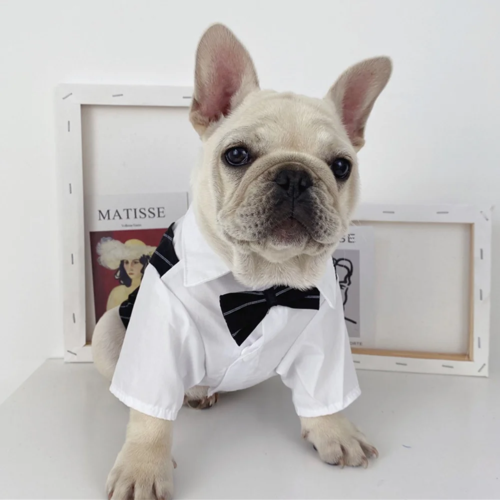 Dog Costume Set Dog Bow Tie Dress Dog Tuxedo Pet Four Seasons Wear British Style Bow Tie Suit Cholthes Button Suit Clothing
