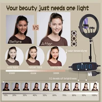 6-14" Ring Light 10 Dimming Levels 22 Modes Professinonal Fill Light 3CCT/RGB with Tripod & Phone/IPad Holder For Live streaming - Image 3