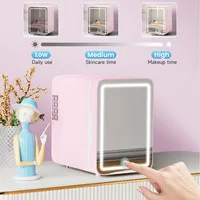 Mini réfrigérateur de beauté portable, cosmétiques, voiture légère intégrée, 4L 5