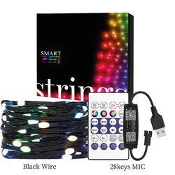 Dream Color RGBIC LED String Lights, 5M-20M, Waterproof, for Outdoor Parties and Christmas Celebrations (Black USB set)