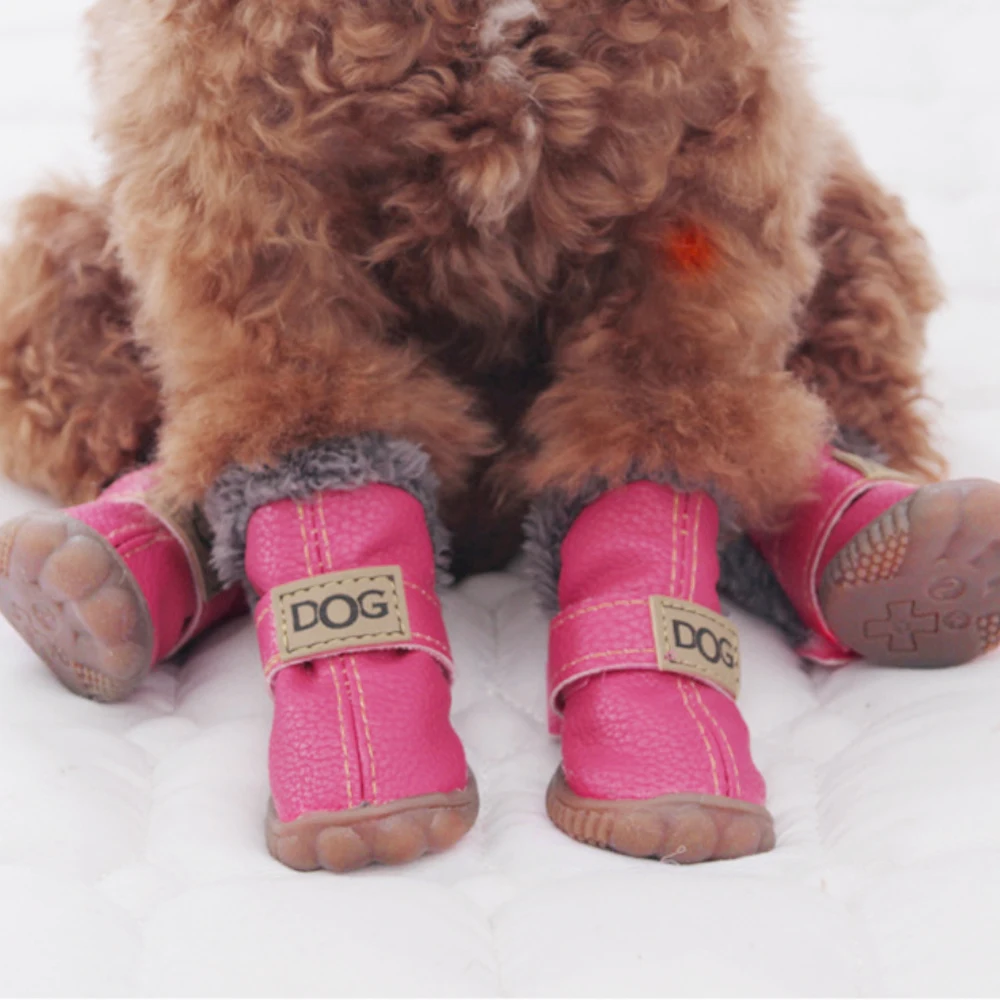 High-Quality Dog Boots for Winter – Ultimate Paw Protection and Comfort | AnoPetShop