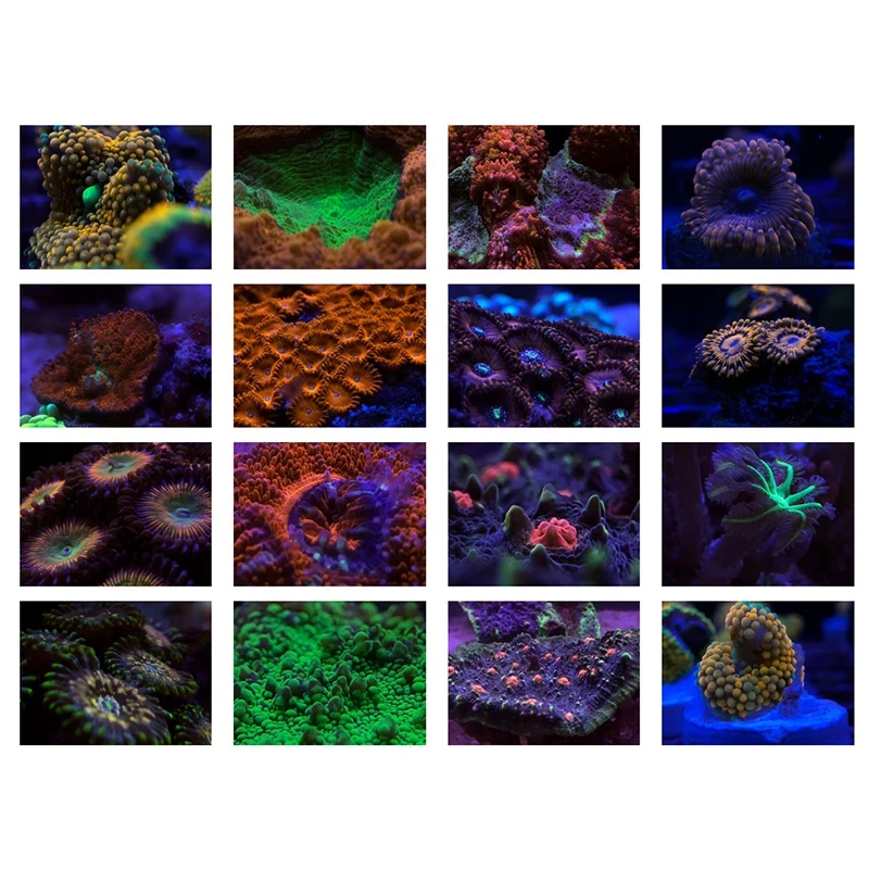 Aquarium Lens Fish Tank Phone Camera Lens Filter 4 in 1 Macro Yellow Filter Coral Reef Aquarium Universal