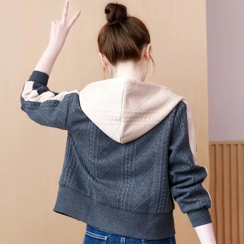 

Короткая женская куртка с капюшоном, новая модная осенняя куртка 2023, повседневная верхняя одежда в западном стиле Joker, Корейская бейсбольная форма, Женское пальто