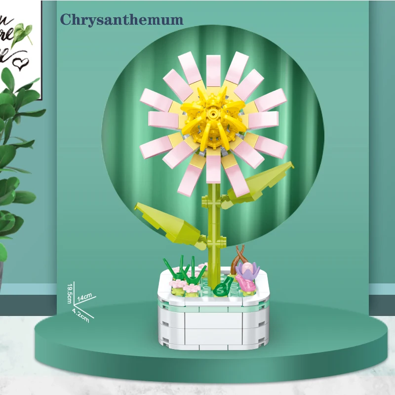 103C-Chrysanthemum