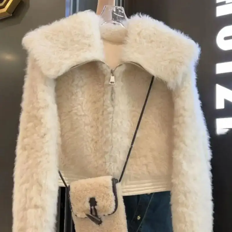 숏패딩  여성용 지퍼 플리스 숏 재킷, 턴다운 칼라, 모직 크롭 코트, 럭셔리 슬림, 두꺼운 외투, 하이 퀄리티, 가을, 겨울, H660 