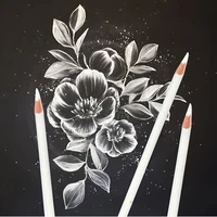 Professional White Charcoal Pencils Set - 3/6 Pieces Sketch Highlight White Pencils for Drawing, Sketching, Shading, Blending 5
