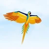 Free shipping parrot kites flying toys for kids kites string line nylon kites factory wind kite children volantin kite flying 3