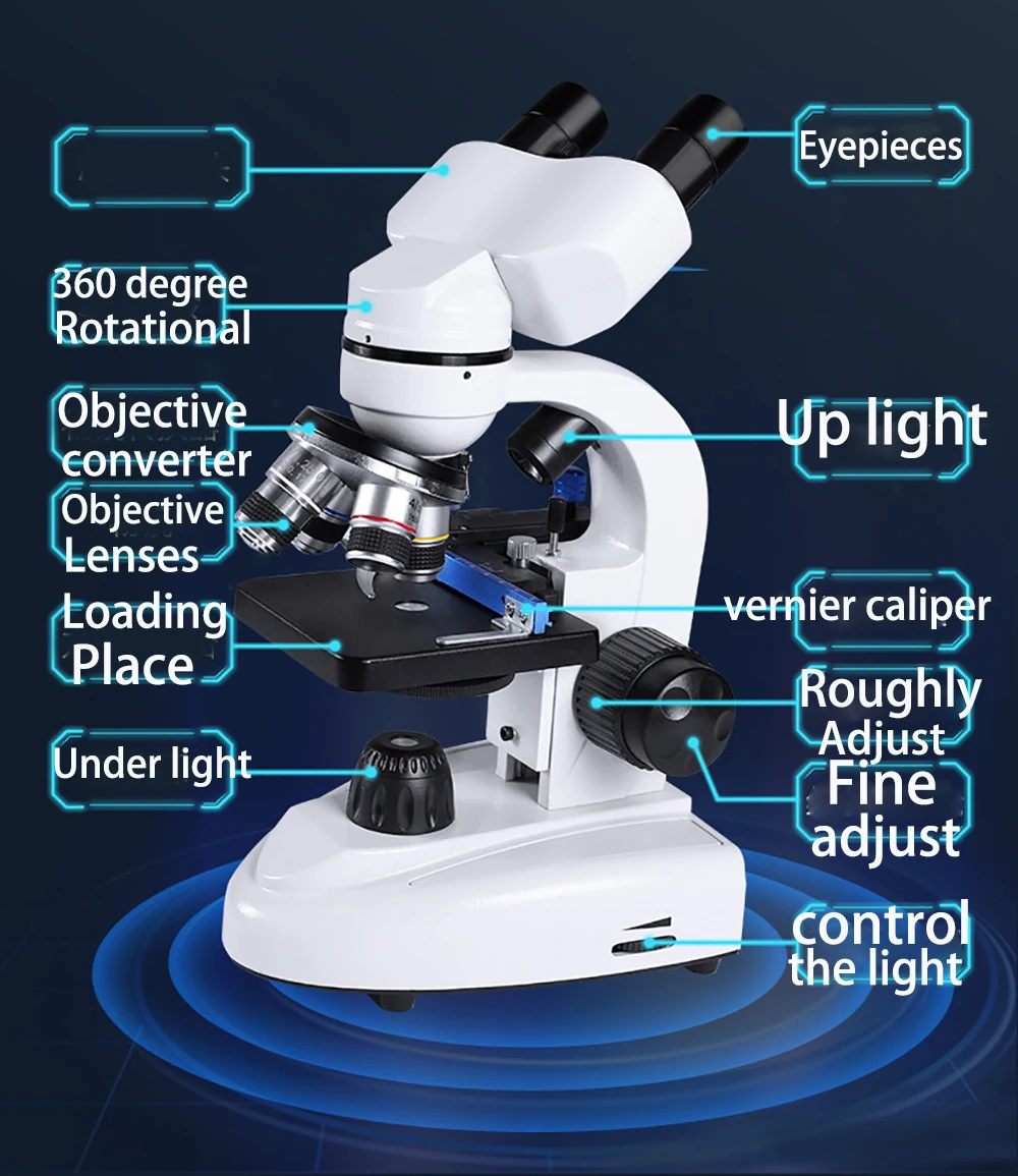 Compound Light Microscope Unlabeled
