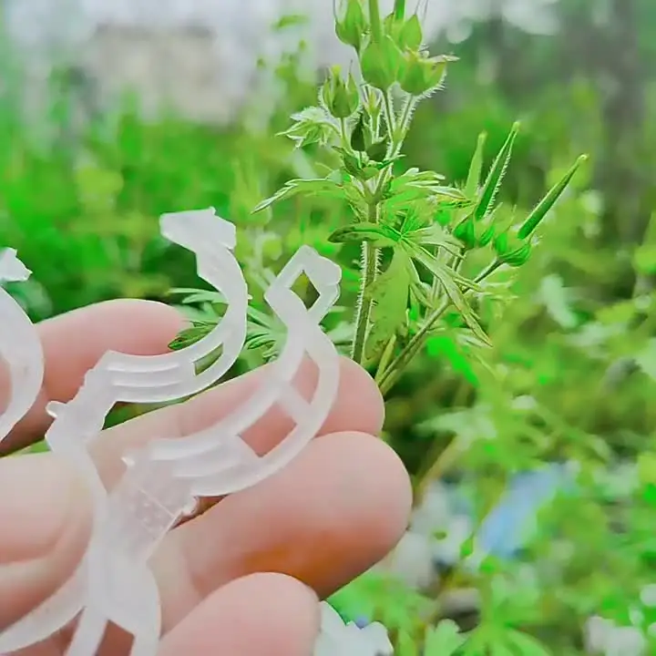 Supporto Piante 200 Clip Per Piante Da Giardino - Plastica Verde, Per Pomodori, Cetrioli, Viti E Fiori Accessorio Per Orto E Balcone