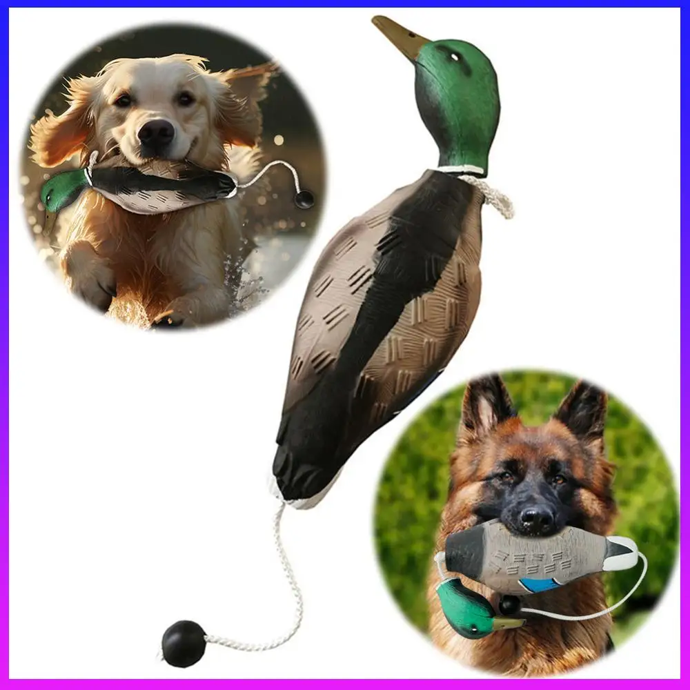 Leurre canard flottant mort pour entraînement chien de chasse pêche, appât leurre flottant