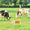 2 /4/ 8 PCS Electric Fence Platic PP Big Warning Signs For Farm House Garden Animals Danger English Double Printed Danger Boards 4