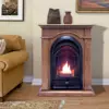 Dual Fuel Ventless Gas Fireplace System with Mantle, Thermostat Control, 4 Fire Logs, Use with Natural Gas or Liquid Propane 2