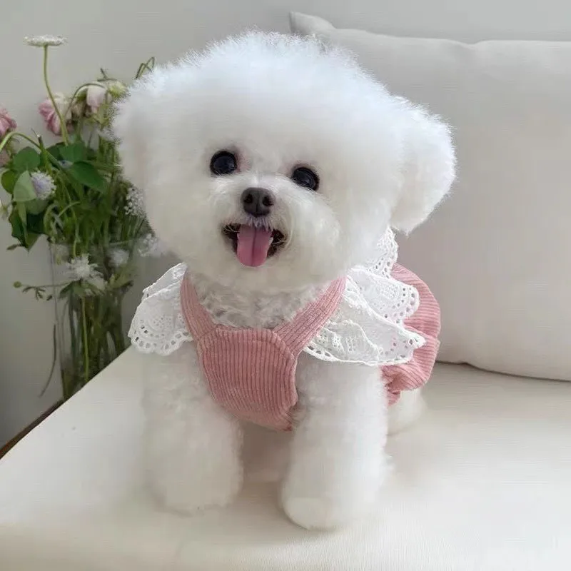 Pet Clothing Autumn/Winter New Corduroy Pumpkin Skirt Pulling Buckle Teddy Bear Dog Cat Warm Lace Skirt