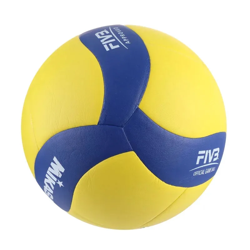 No.5 Outdoor Training Volleyball 2