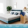 Queen Mattress 10 Inch Memory Foam Mattress Bed in a Box,Medium Soft Cooling Gel Green Tea Queen Size Mattress with Breathable S 5