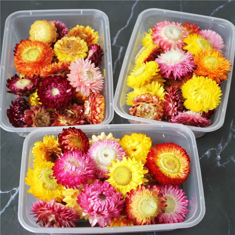 

Dried Flower Daisy Chrysanthemum Heads Boho Home Decor DIY Straw Sunflower Wedding Decoration Embossing Material Natural Style