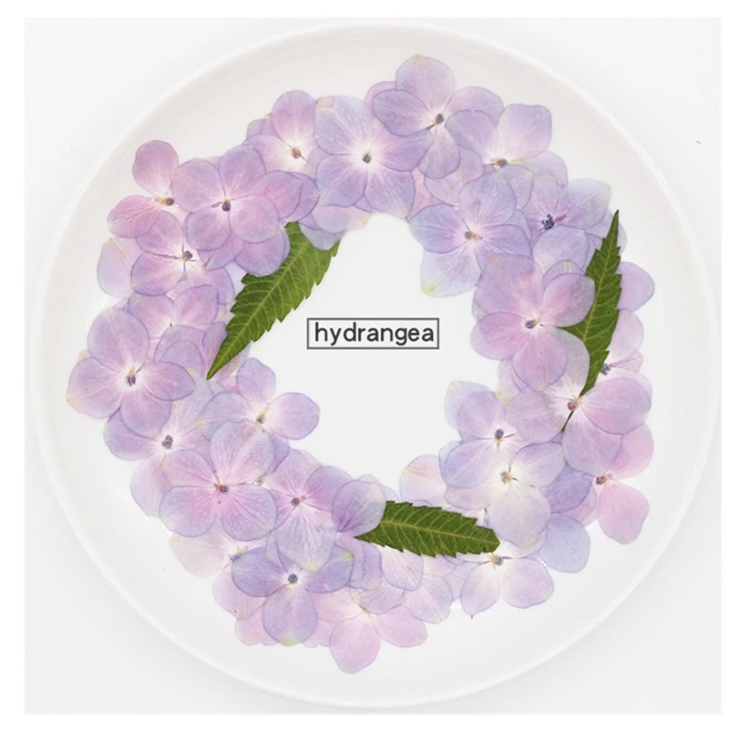 

60 Pcs/Set Natural Pink Hydrangea DIY Dried Flowers UV Expoxy Resin Mold Filling Flower Art Pressed Flower