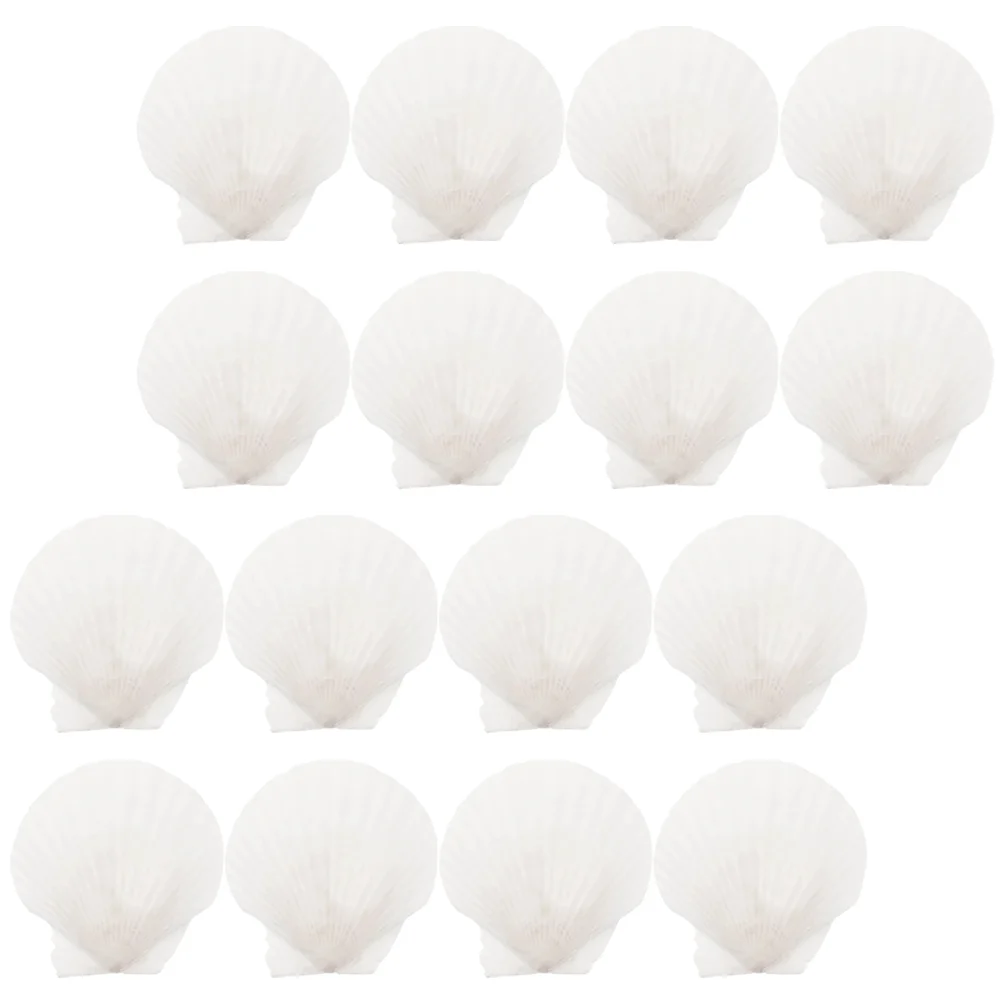 

16 Pcs Household Fish Tank Decorations Beach Wedding Shell Scallops Shells Crafts