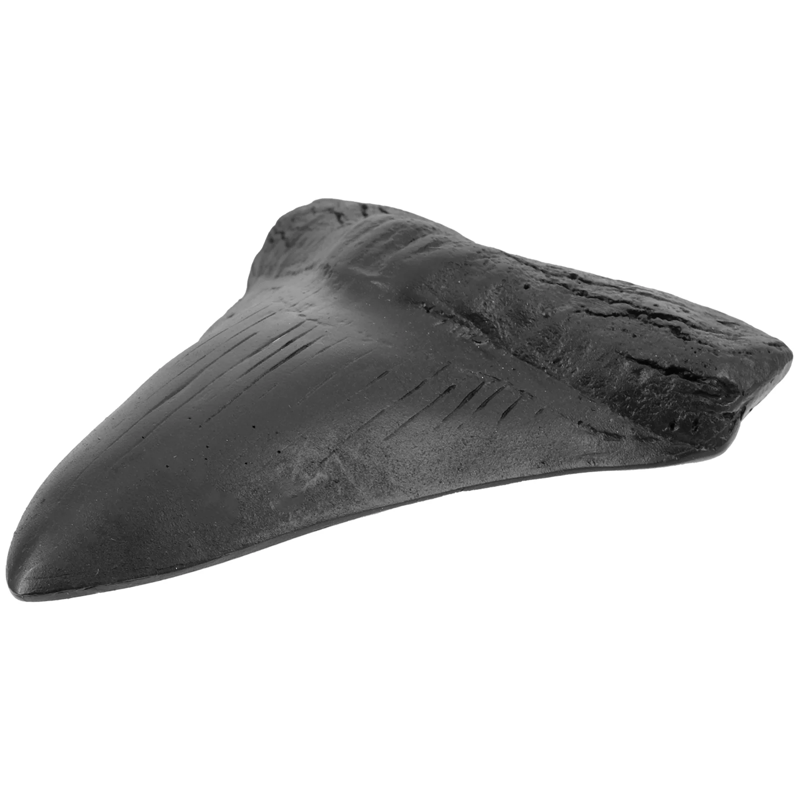 

Megalodon Teeth Replica Simulation Teeth Model Artificial Teeth Decoration Novelty Home Decor