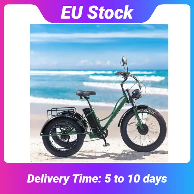 Tricycle électrique pour adultes, batterie amovible, portée de 65km, 750w, 48W, Transmission à 7 vitesses, 24 pouces, vélo électrique pour la neige et la graisse 1