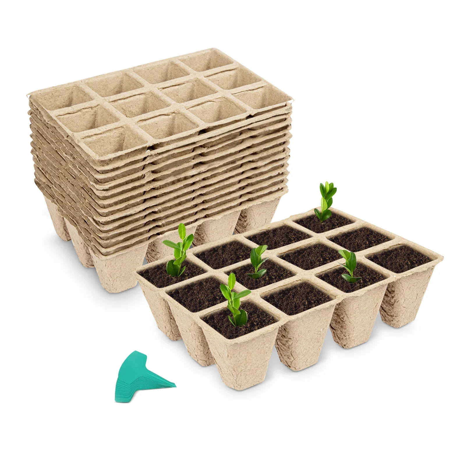 12 Packs 144 Cells Peat Pots Seed Starter Trays Biodegradable with 15 Pcs Plant Labels