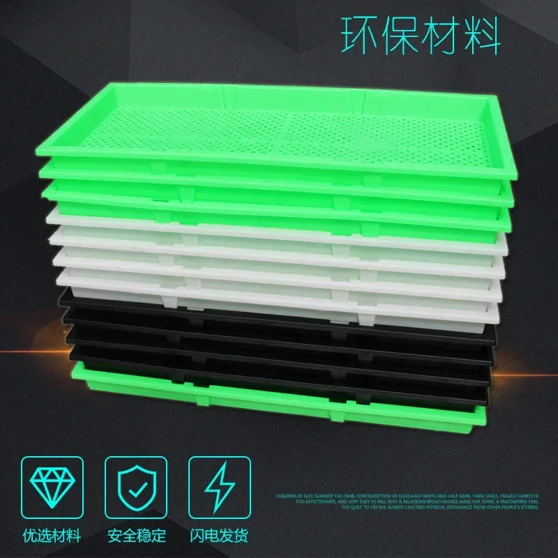 Planting Seedling Tray Sprouting Seedling Tray Succulent Sowing Culture Box