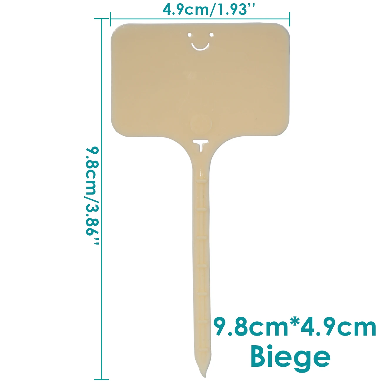 Biege 9.8x4.9cm