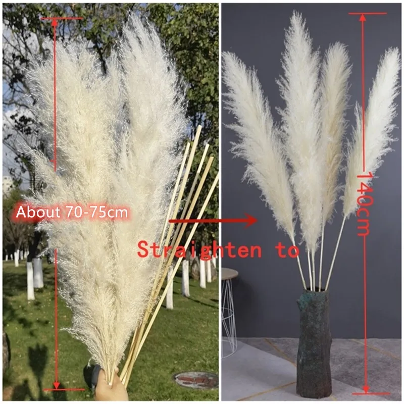 Halloween Faux Pampas Grass 120cm 60cm, 5 stems, Bouquet Party Decoration