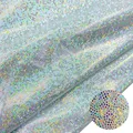 Iridescent Silver