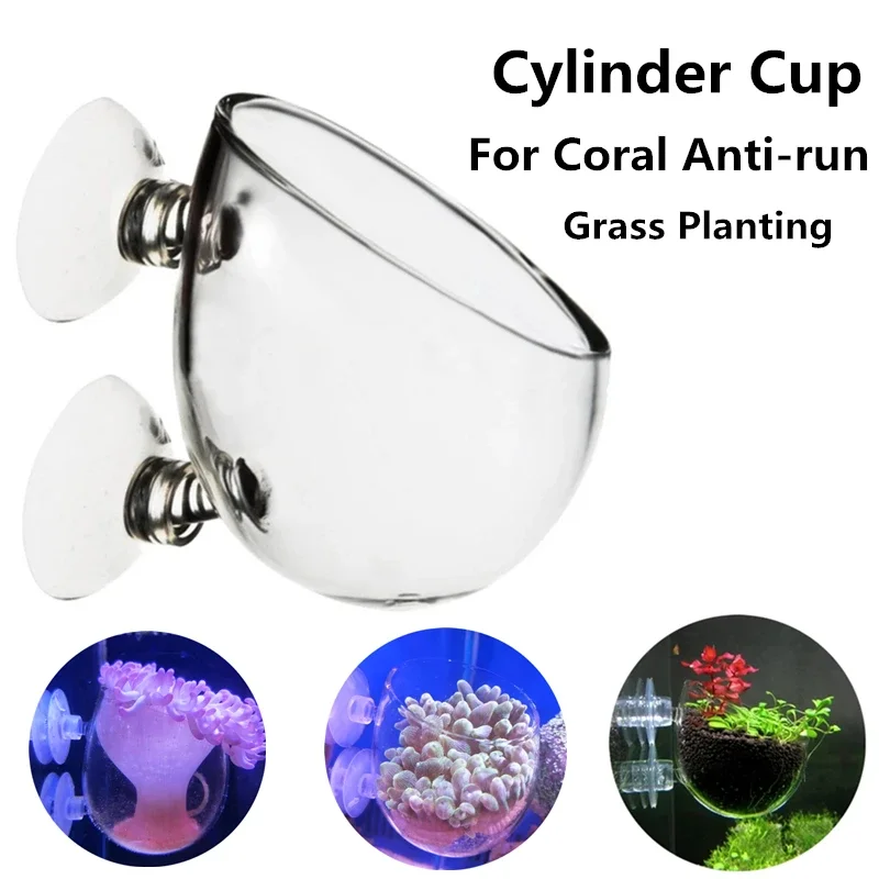 Glass Aquarium Coral Container Sea Anemone Anti-Run Cup Fish Tank Water Plant Bonsai Cylinder Pot for Coral Plant Decoration fish tank ornaments fish tank decorations aquarium ornaments mini landscape ornaments planting cups