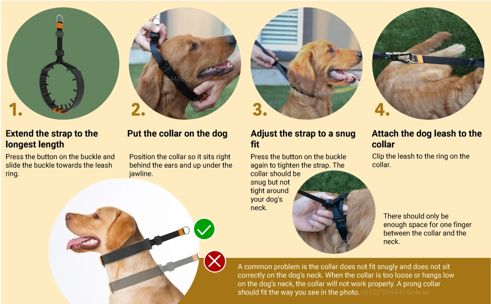 Collar Fit How To Properly Use A Prong Collar On A Dog Prong