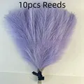 Style 1 Purple
