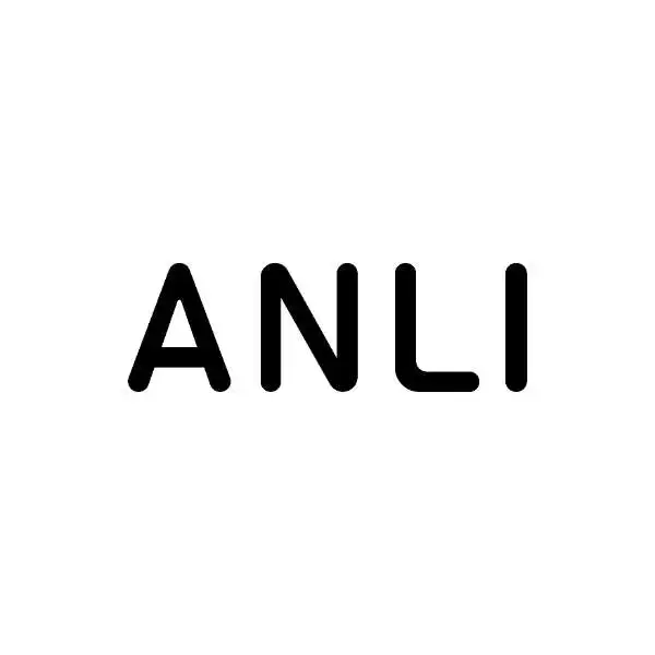 Anli Car Accessories Store