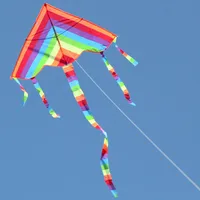 Easy Fly Colorful Rainbow Kite Outdoor Fun Sports Beach Kids Children Buitenspeelgoed Cometas De Viento Outdoor Toys Kites 1