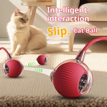Automatic Rolling Pet Ball 1