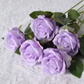 Silk cloth G3