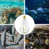 NEW Automatic Crab Trap Fishing Foldable Design Fishing Net Cage Wide Coverage Automatic Open Closing Supplementary Crab Cage 6