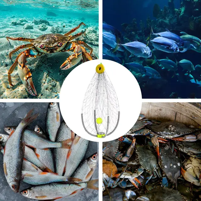 NEW Automatic Crab Trap Fishing Foldable Design Fishing Net Cage Wide Coverage Automatic Open Closing Supplementary Crab Cage 6