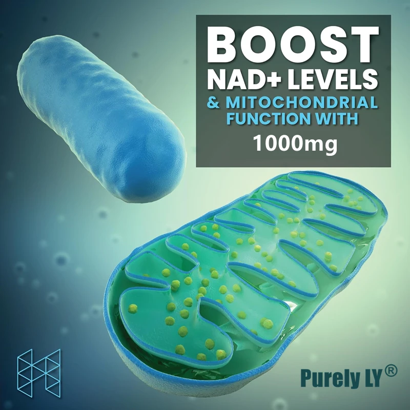 Nad+ Booster Anti Aging nad booster anti aging