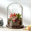15*35cm Big Size Seperated Glass Dome Vase Home Decoration Transparent Higher Base Cover DIY Friend Gift Wedding Prop 2