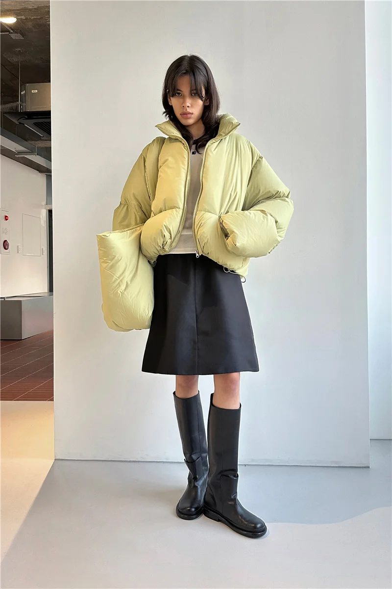 Women Winter Shoulder Bags Space Down Bags Cotton Padded Puffer Large Fashion CrossbodyBag Female Puffy Clutch Christmas Bag