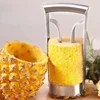 Stainless Steel Pineapple Peeler Cutter Anana Meat Extractor Cut Corer Remover Machine Household Kitchen Knife Slicer Fruit Tool