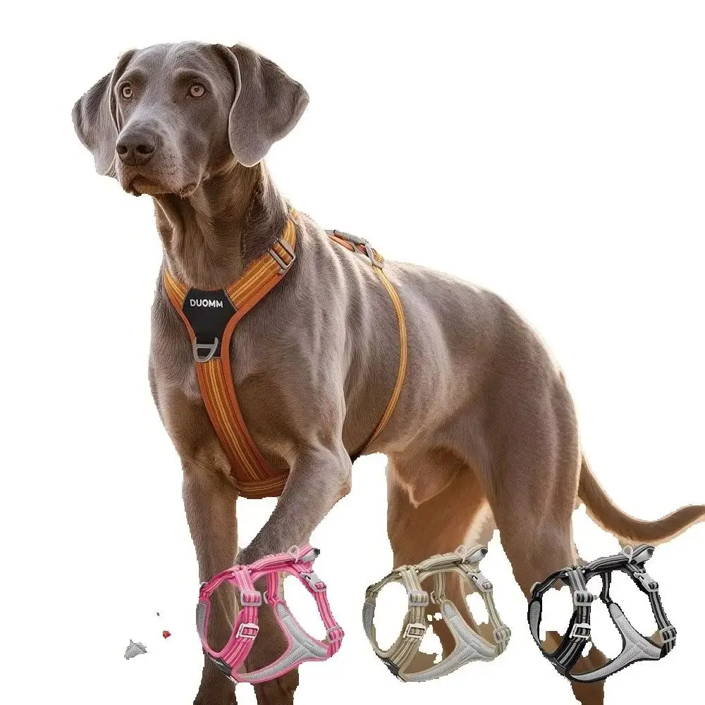 Pettorina per Cani Anti-Trazione, Fibbia a Sgancio Rapido, Strisce Riflettenti, Gilet Regolabile, Doppia Maniglia per il Controllo durante la Passeggiata - immagine 2