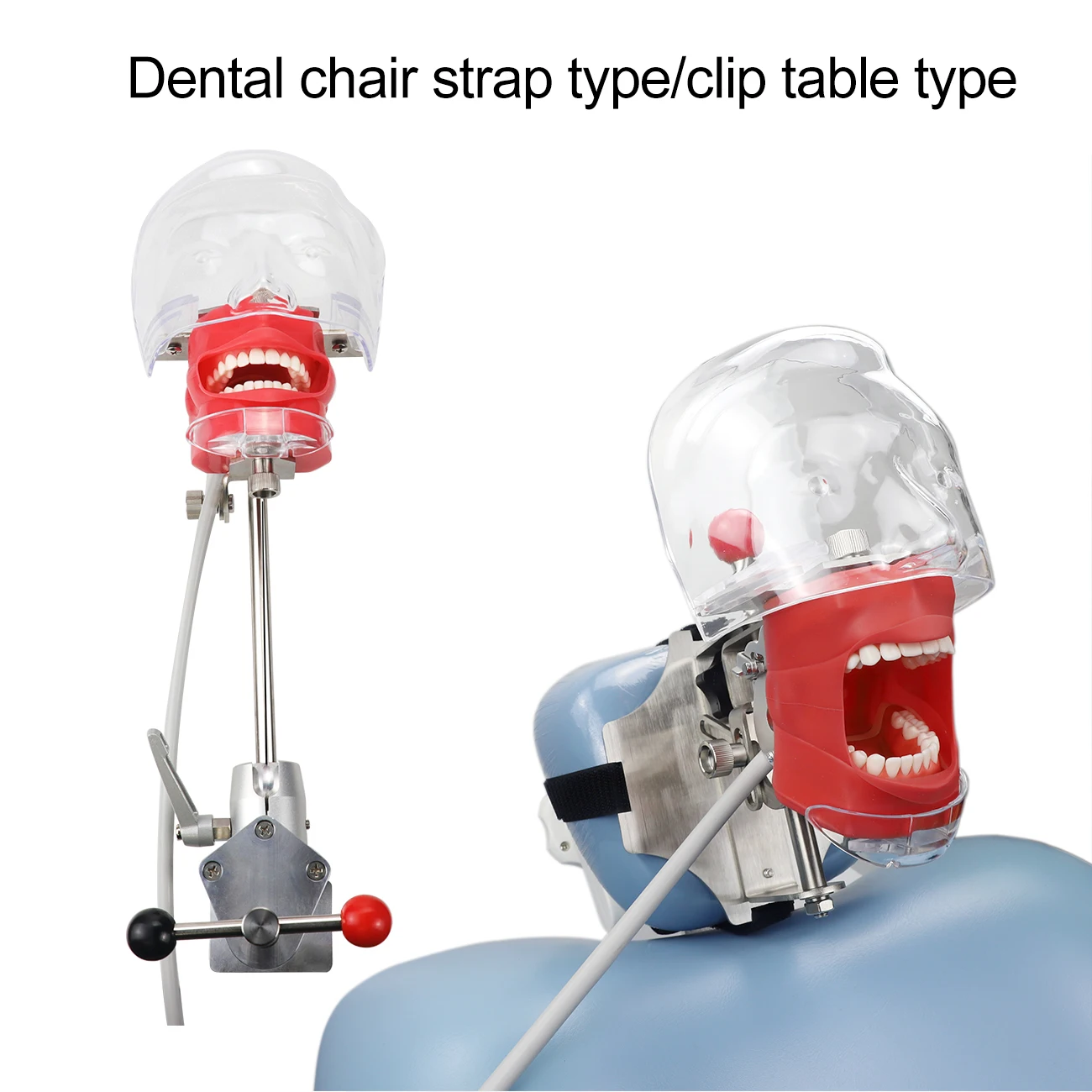Стоматологический симулятор Nissin Manikin Phantom Tooth научно-фантастическая теневая