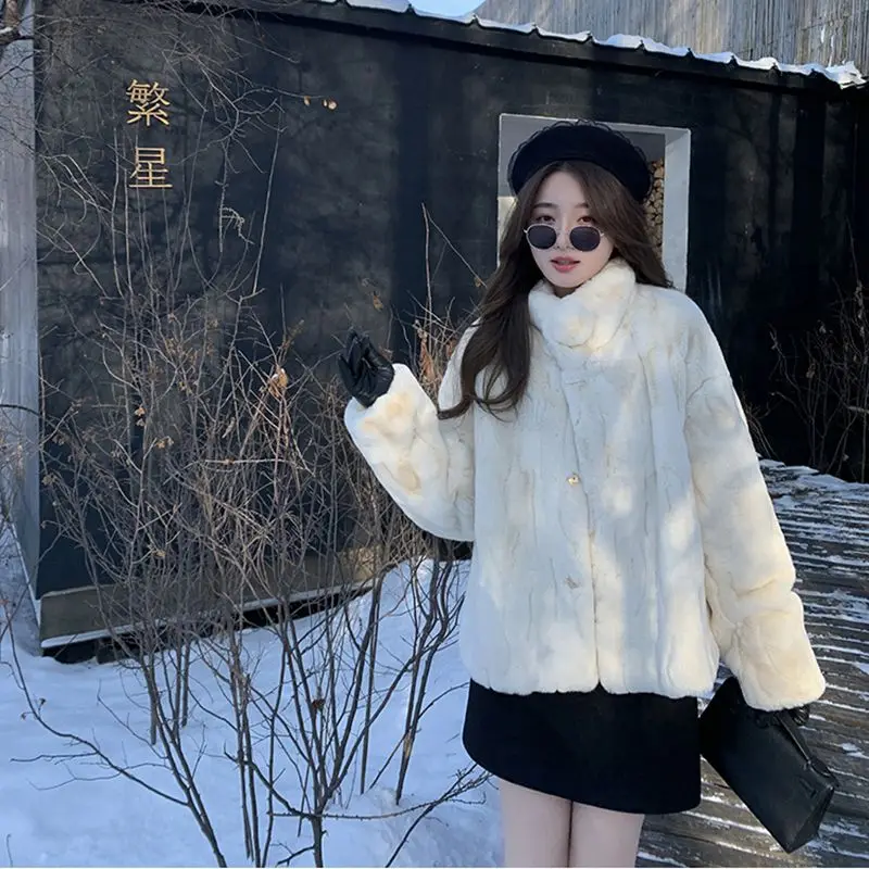 Winter Fluffy Coat Women 2023 New Stand Collar Warm Thick Imitation Rabbit Fur Jackets Loose Korean Fashion Cardigan